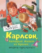 Карлсон, который живет на крыше, опять прилетел